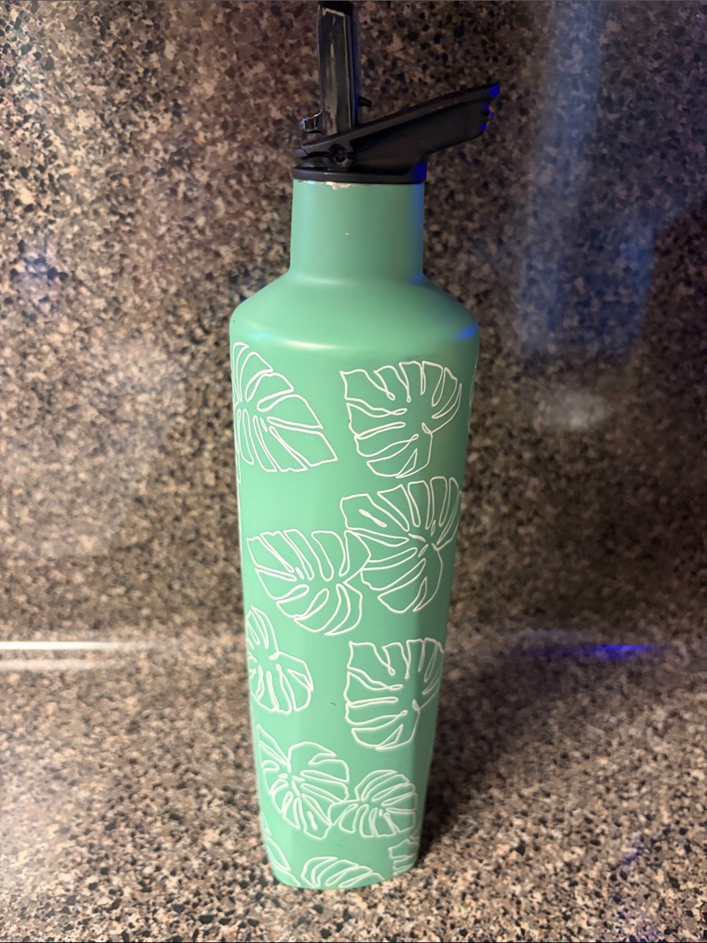 Brumate Monstera Special Edition Rehydration Bottle 25 Ounces - Picture 6 of 8